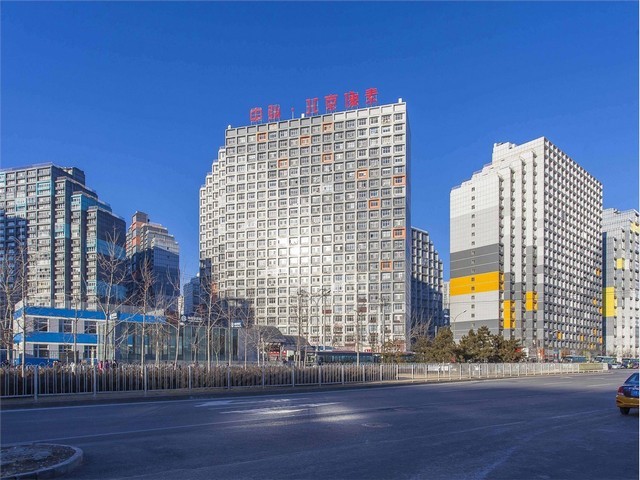 河北珍稀城镇绿化苗分类